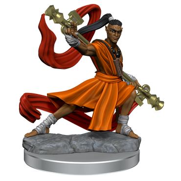 D&D: Frameworks - Elf Monk Male (ONLINE ORDER ONLY)