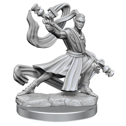 D&D: Frameworks - Elf Monk Male (ONLINE ORDER ONLY)