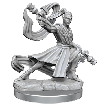 D&D: Frameworks - Elf Monk Male (ONLINE ORDER ONLY)