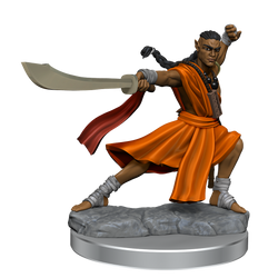 D&D: Frameworks - Elf Monk Male (ONLINE ORDER ONLY)