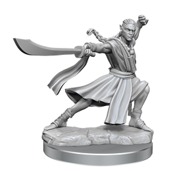 D&D: Frameworks - Elf Monk Male (ONLINE ORDER ONLY)