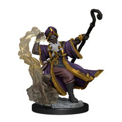 D&D: Frameworks - Human Wizard Male (ONLINE ORDER ONLY)