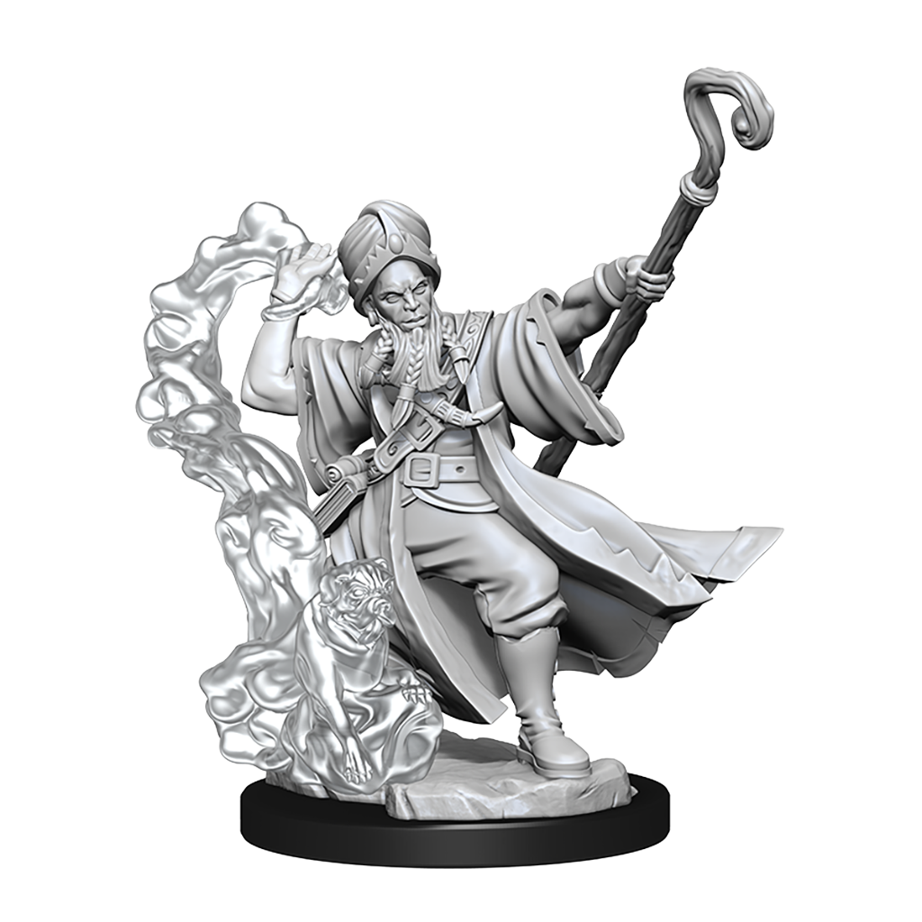 D&D: Frameworks - Human Wizard Male (ONLINE ORDER ONLY)