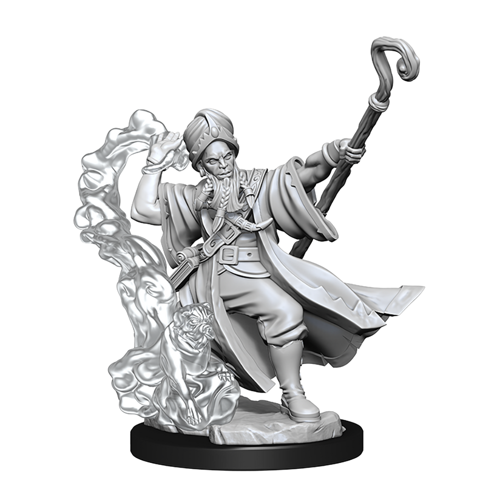 D&D: Frameworks - Human Wizard Male (ONLINE ORDER ONLY)