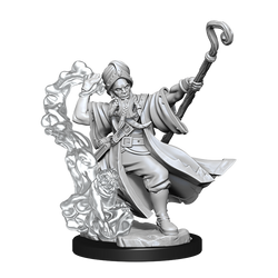 D&D: Frameworks - Human Wizard Male (ONLINE ORDER ONLY)