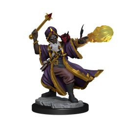 D&D: Frameworks - Human Wizard Male (ONLINE ORDER ONLY)