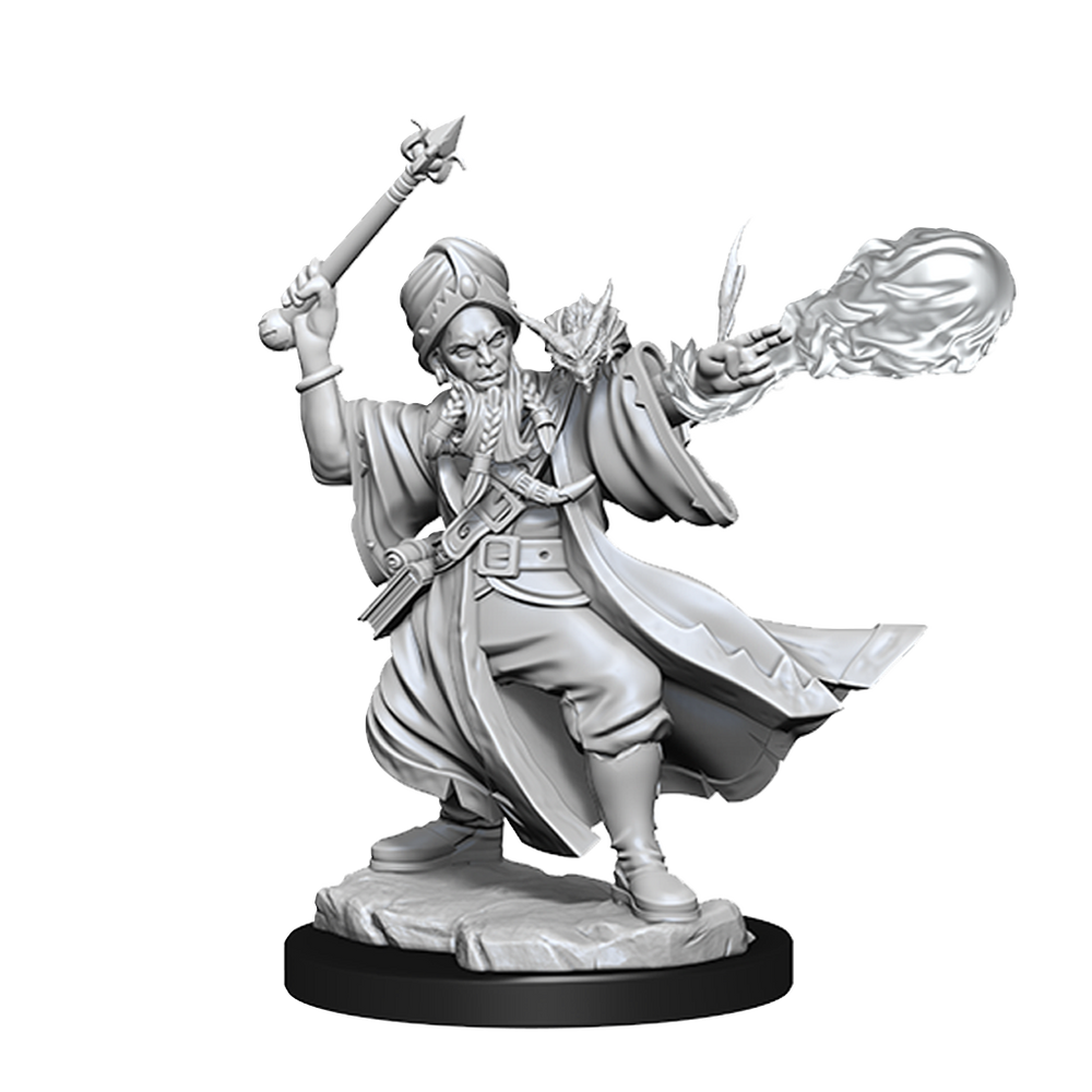 D&D: Frameworks - Human Wizard Male (ONLINE ORDER ONLY)