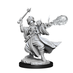 D&D: Frameworks - Human Wizard Male (ONLINE ORDER ONLY)