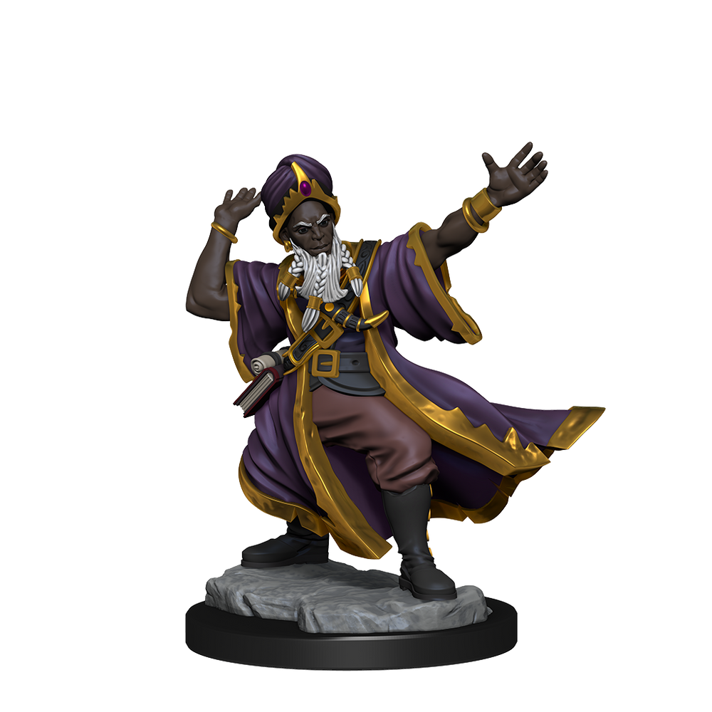 D&D: Frameworks - Human Wizard Male (ONLINE ORDER ONLY)