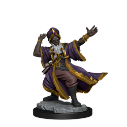 D&D: Frameworks - Human Wizard Male (ONLINE ORDER ONLY)