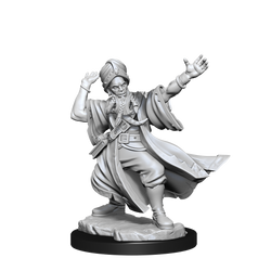 D&D: Frameworks - Human Wizard Male (ONLINE ORDER ONLY)