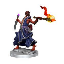 D&D: Frameworks - Dragonborn Sorcerer Female (ONLINE ORDER ONLY)