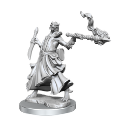 D&D: Frameworks - Dragonborn Sorcerer Female (ONLINE ORDER ONLY)