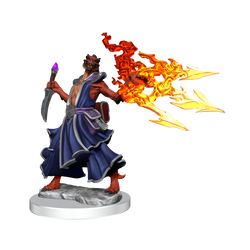 D&D: Frameworks - Dragonborn Sorcerer Female (ONLINE ORDER ONLY)