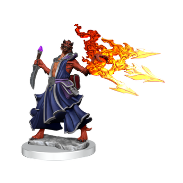 D&D: Frameworks - Dragonborn Sorcerer Female (ONLINE ORDER ONLY)