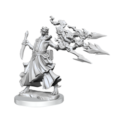 D&D: Frameworks - Dragonborn Sorcerer Female (ONLINE ORDER ONLY)