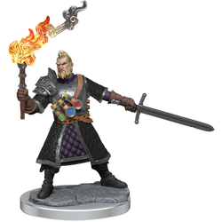 D&D: Frameworks - Human Fighter Male (ONLINE ORDER ONLY)