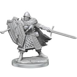 D&D: Frameworks - Human Fighter Male (ONLINE ORDER ONLY)