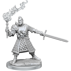 D&D: Frameworks - Human Fighter Male (ONLINE ORDER ONLY)