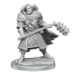 D&D: Frameworks - Human Fighter Male (ONLINE ORDER ONLY)