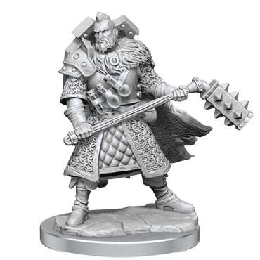 D&D: Frameworks - Human Fighter Male (ONLINE ORDER ONLY)