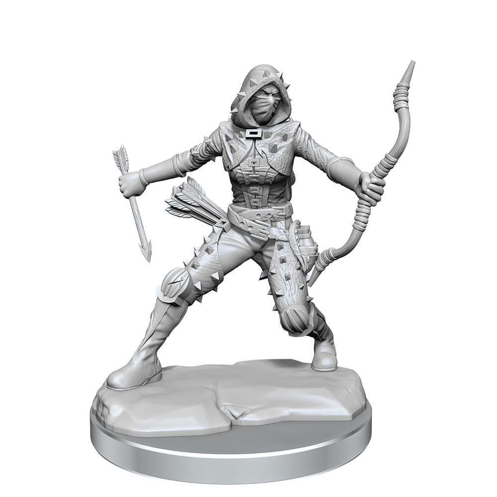 D&D: Frameworks - Human Rogue Female (ONLINE ORDER ONLY)