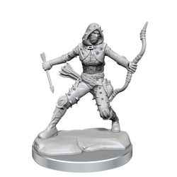 D&D: Frameworks - Human Rogue Female (ONLINE ORDER ONLY)