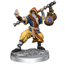 D&D: Frameworks - Human Monk Male (ONLINE ORDER ONLY)