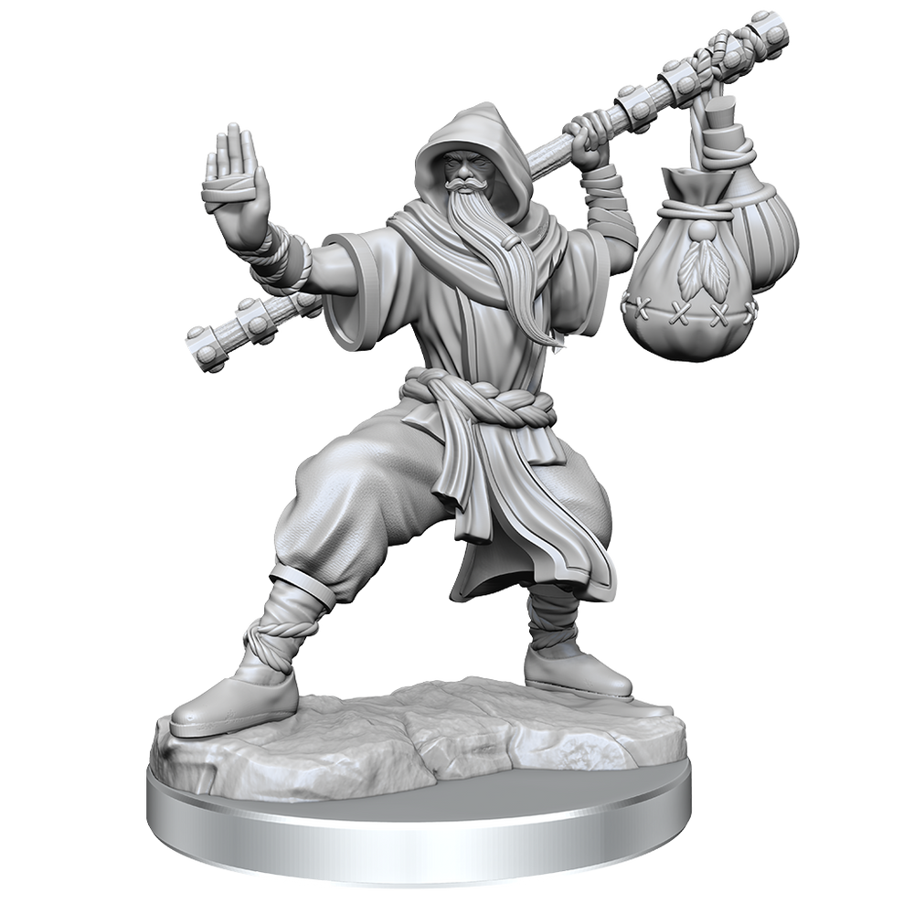 D&D: Frameworks - Human Monk Male (ONLINE ORDER ONLY)