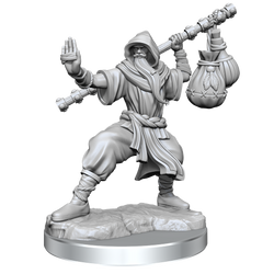 D&D: Frameworks - Human Monk Male (ONLINE ORDER ONLY)