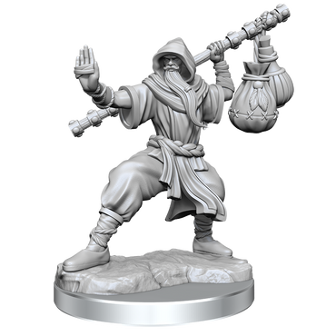 D&D: Frameworks - Human Monk Male (ONLINE ORDER ONLY)
