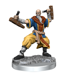 D&D: Frameworks - Human Monk Male (ONLINE ORDER ONLY)