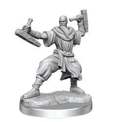 D&D: Frameworks - Human Monk Male (ONLINE ORDER ONLY)