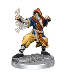 D&D: Frameworks - Human Monk Male (ONLINE ORDER ONLY)