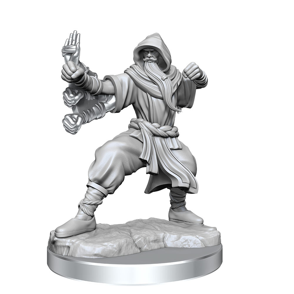D&D: Frameworks - Human Monk Male (ONLINE ORDER ONLY)