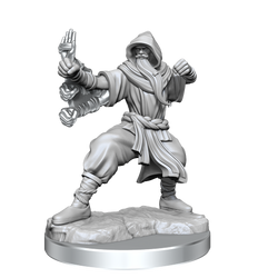 D&D: Frameworks - Human Monk Male (ONLINE ORDER ONLY)