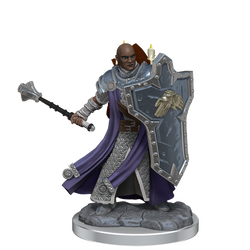 D&D: Frameworks - Human Cleric Male (ONLINE ORDER ONLY)