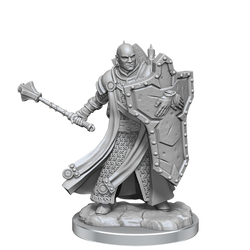D&D: Frameworks - Human Cleric Male (ONLINE ORDER ONLY)