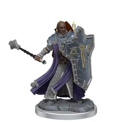 D&D: Frameworks - Human Cleric Male (ONLINE ORDER ONLY)