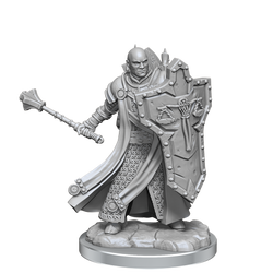D&D: Frameworks - Human Cleric Male (ONLINE ORDER ONLY)
