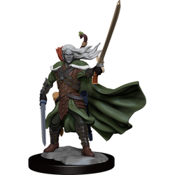 D&D: Frameworks - Elf Ranger Male (ONLINE ORDER ONLY)
