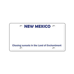 Custom Kids’ Ride-On Car License Plate (ONLINE ORDER ONLY)