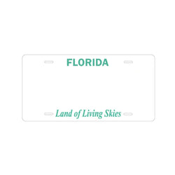 Custom Kids’ Ride-On Car License Plate (ONLINE ORDER ONLY)