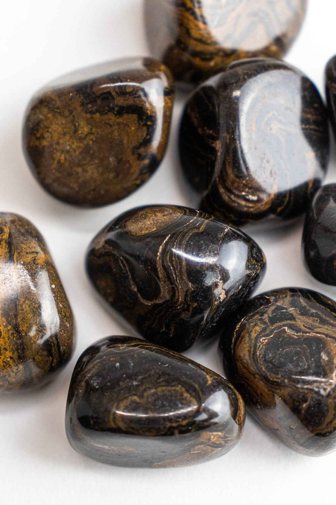Stromatolite (ONLINE ORDER ONLY)