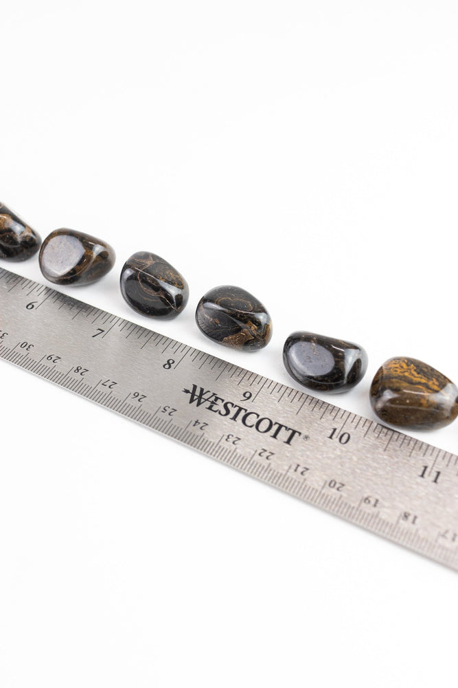 Stromatolite