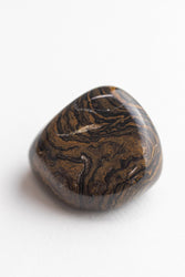 Stromatolite