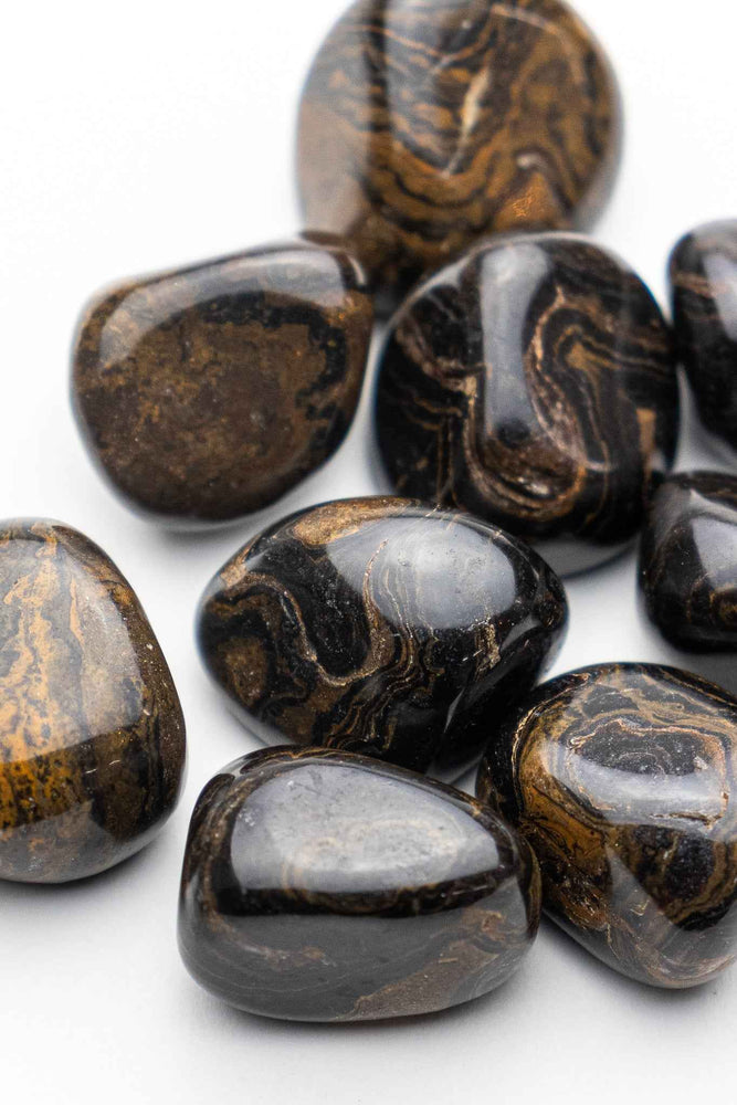 Stromatolite (ONLINE ORDER ONLY)