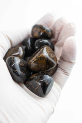 Stromatolite (ONLINE ORDER ONLY)