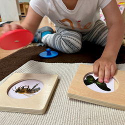 Guessing Knob Puzzle (ONLINE ORDER ONLY)