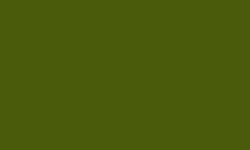 VAL70892 Yellow Olive Model Color Acrylic Paint 17ml (.57 Fl Oz) Bottle (ONLINE ORDER ONLY)